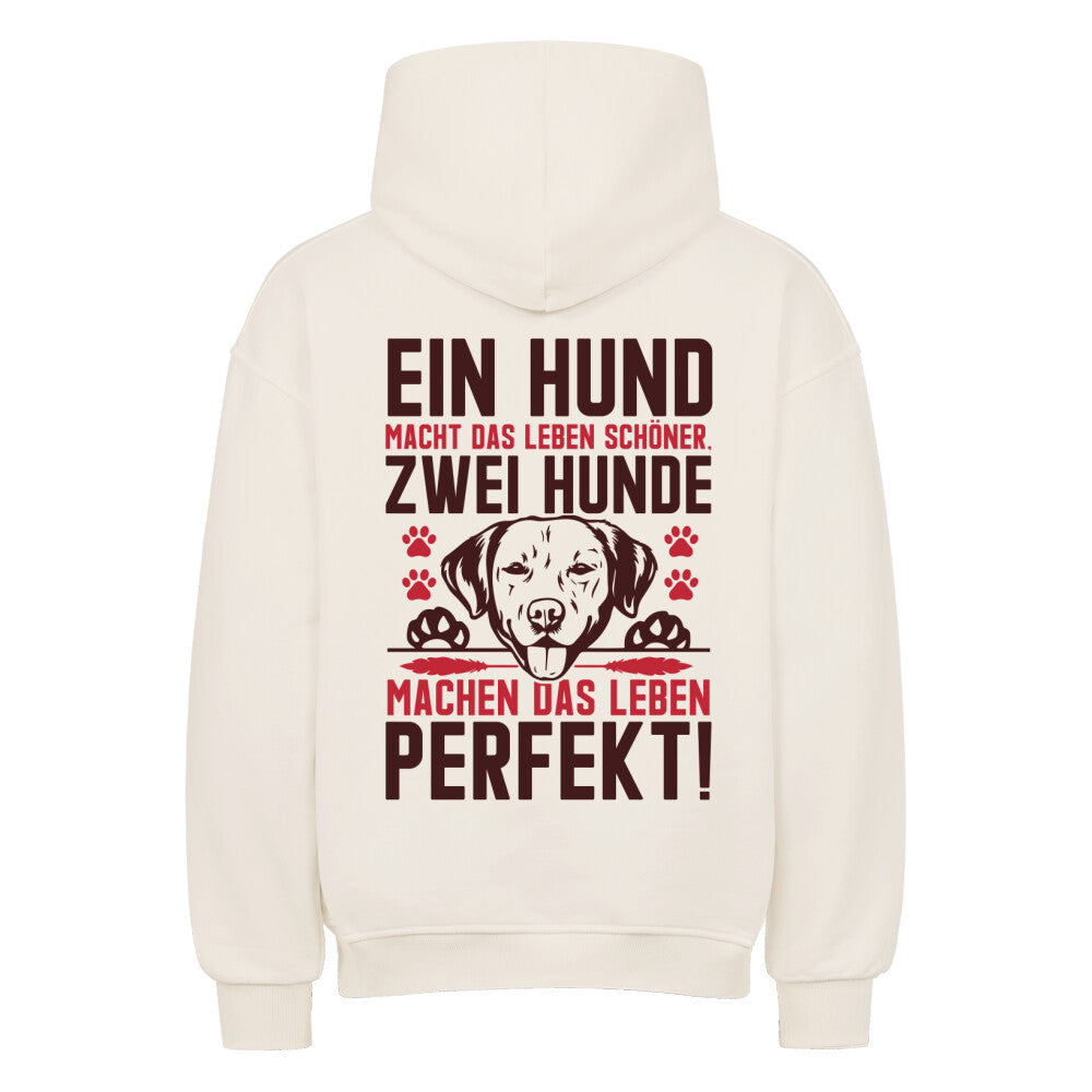57dbd449-f202-47d0-8cad-2ffaab67855b