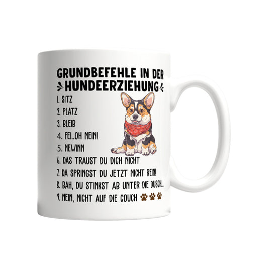 c67c6d36-f12a-4f0a-bbd7-bc8996a65bb8